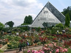 花の文化園のシンボルで三角形の大温室