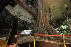 「【2025】「関西文化の日」無料スポット18選！　親子におすすめの遊べる施設を厳選」の写真