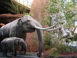 「【2025】「関西文化の日」無料スポット18選！　親子におすすめの遊べる施設を厳選」の写真