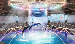 デイVer.ドルフィンパフォーマンス：Pop Santa Party