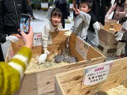 「福岡市の複合施設で冬休み限定の生きものフェスタ　小動物ふれあいや縁日も楽しめる」の写真