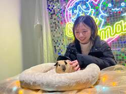 「福岡市の複合施設で冬休み限定の生きものフェスタ　小動物ふれあいや縁日も楽しめる」の写真