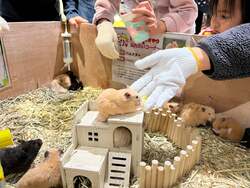 「福岡市の複合施設で冬休み限定の生きものフェスタ　小動物ふれあいや縁日も楽しめる」の写真