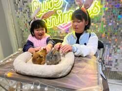 「福岡市の複合施設で冬休み限定の生きものフェスタ　小動物ふれあいや縁日も楽しめる」の写真