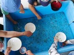 「福岡市の複合施設で冬休み限定の生きものフェスタ　小動物ふれあいや縁日も楽しめる」の写真