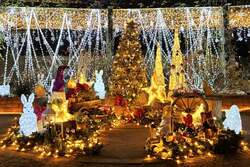 2024年のイルミネーション