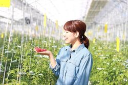 「【水戸周辺】11月8日・9日の今週末のおでかけにもおすすめ！人気スポットランキング」の写真