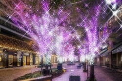 「東京ミッドタウン日比谷でディズニー映画『ズートピア2』の世界を体験！　イルミ点灯」の写真