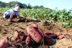 「【土浦周辺】11月8日・9日の今週末のおでかけにもおすすめ！人気スポットランキング」の写真
