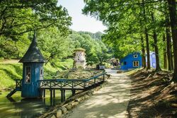 「【飯能周辺】11月8日・9日の今週末のおでかけにもおすすめ！人気スポットランキング」の写真