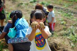 「【飯能周辺】11月8日・9日の今週末のおでかけにもおすすめ！人気スポットランキング」の写真