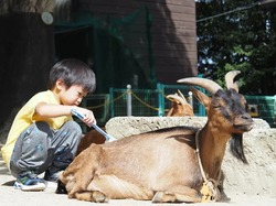 「【飯能周辺】11月8日・9日の今週末のおでかけにもおすすめ！人気スポットランキング」の写真
