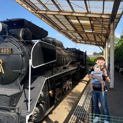 「【松戸・柏周辺】11月8日・9日の今週末おでかけにもおすすめ！人気スポットランキング」の写真