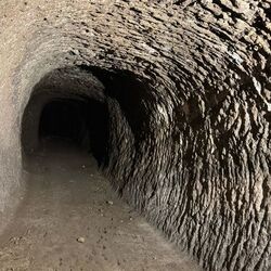 「【館山周辺】11月8日・9日の今週末のおでかけにもおすすめ！人気スポットランキング」の写真