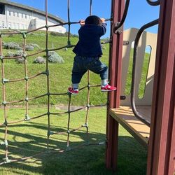 「【久喜周辺】11月8日・9日の今週末のおでかけにもおすすめ！人気スポットランキング」の写真