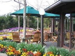 「【館山周辺】11月8日・9日の今週末のおでかけにもおすすめ！人気スポットランキング」の写真