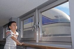 「【浅草周辺】11月8日・9日の今週末のおでかけにもおすすめ！人気スポットランキング」の写真