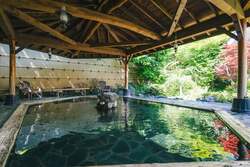 秩父湯元 武甲温泉