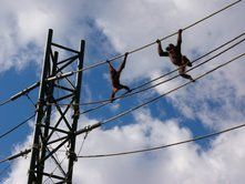 「【八王子周辺】11月8日・9日の今週末おでかけにもおすすめ！人気スポットランキング」の写真