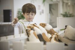 「【横浜周辺】11月8日・9日の今週末のおでかけにもおすすめ！人気スポットランキング」の写真