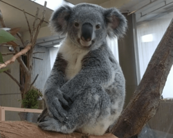 「【横浜周辺】11月8日・9日の今週末のおでかけにもおすすめ！人気スポットランキング」の写真