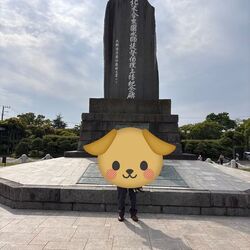 「【横須賀周辺】11月8日・9日の今週末おでかけにもおすすめ！人気スポットランキング」の写真