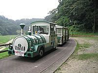 「【横須賀周辺】11月8日・9日の今週末おでかけにもおすすめ！人気スポットランキング」の写真