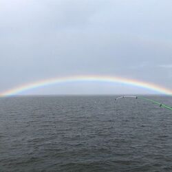 「【横須賀周辺】11月8日・9日の今週末おでかけにもおすすめ！人気スポットランキング」の写真