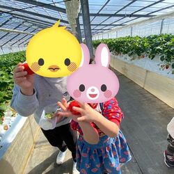 「【横須賀周辺】11月8日・9日の今週末おでかけにもおすすめ！人気スポットランキング」の写真