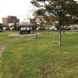 「【長岡周辺】11月8日・9日の今週末のおでかけにもおすすめ！人気スポットランキング」の写真