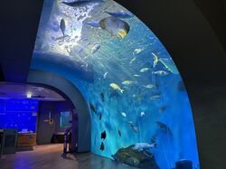 「【浜松周辺】11月8日・9日の今週末のおでかけにもおすすめ！人気スポットランキング」の写真