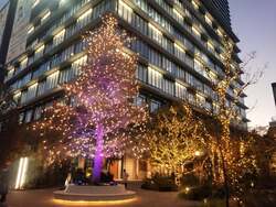 「岡山市の杜の街グレースでクリスマス点灯式！　子供たちの歌声＆サンタのダンスも」の写真