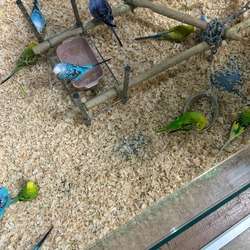 「【大宮周辺】11月8日・9日の今週末のおでかけにもおすすめ！人気スポットランキング」の写真