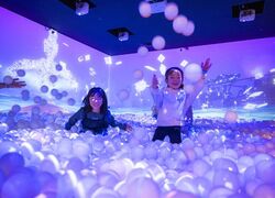 「【川口周辺】11月8日・9日の今週末のおでかけにもおすすめ！人気スポットランキング」の写真