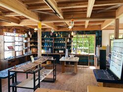 「【天草周辺】11月8日・9日の今週末のおでかけにもおすすめ！人気スポットランキング」の写真