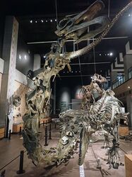 「【天草周辺】11月8日・9日の今週末のおでかけにもおすすめ！人気スポットランキング」の写真