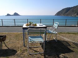 「【天草周辺】11月8日・9日の今週末のおでかけにもおすすめ！人気スポットランキング」の写真