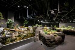 「神戸須磨シーワールドで神戸市民WEEK開催！12月7日から特別入館料1000円で楽しめる
」の写真