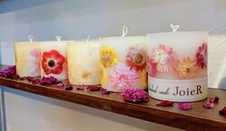 「【糸島周辺】11月8日・9日の今週末のおでかけにもおすすめ！人気スポットランキング」の写真