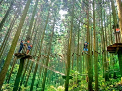 「【糸島周辺】11月8日・9日の今週末のおでかけにもおすすめ！人気スポットランキング」の写真
