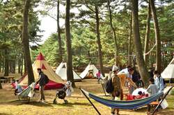 「国営ひたち海浜公園で食と体験を満喫！　49プログラムのアウトドアイベント開催」の写真