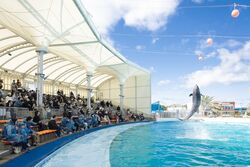 「【常滑周辺】11月8日・9日の今週末のおでかけにもおすすめ！人気スポットランキング」の写真