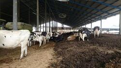 「【甲賀周辺】11月8日・9日の今週末のおでかけにもおすすめ！人気スポットランキング」の写真