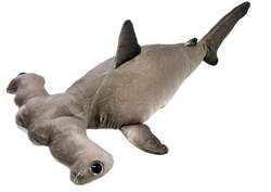 「茨城県大洗町の水族館でサメの赤ちゃんに会えるクリスマスイベント開催」の写真