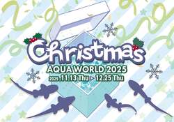 「茨城県大洗町の水族館でサメの赤ちゃんに会えるクリスマスイベント開催」の写真