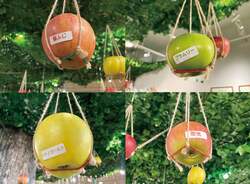 「渋谷PARCOで本物のりんご狩り体験！　多品種のりんごとアップルパイを楽しもう」の写真