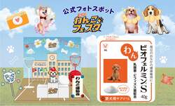 「お台場で愛犬と楽しむ3日間「ジャパンわんこフェスタ2025」開催　入場無料で楽しめる」の写真