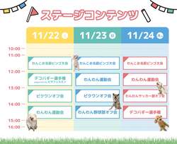 「お台場で愛犬と楽しむ3日間「ジャパンわんこフェスタ2025」開催　入場無料で楽しめる」の写真