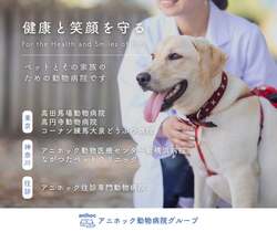 「お台場で愛犬と楽しむ3日間「ジャパンわんこフェスタ2025」開催　入場無料で楽しめる」の写真