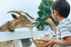 「2025年11月13日（木）は「茨城県民の日」！　人気施設が無料＆割引でお得に遊べる」の写真